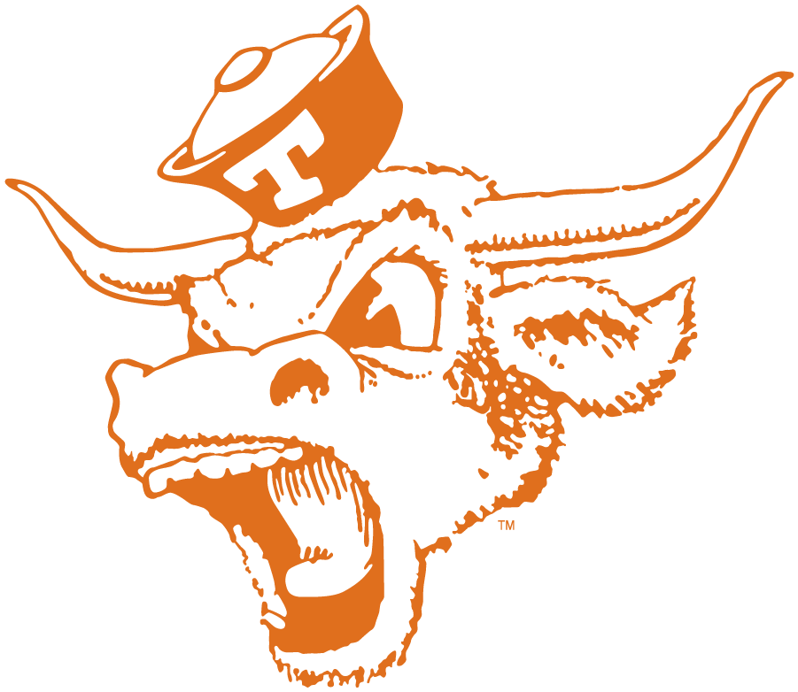 Texas Longhorns 1966-1976 Secondary Logo diy DTF decal sticker